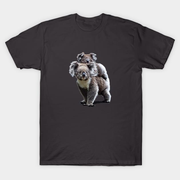 Koala Bears Australia T-Shirt by ElegantCat